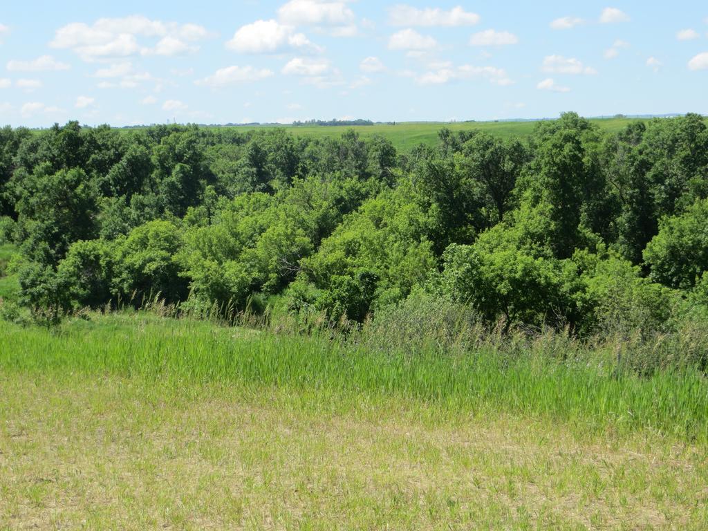 Orchard View Bed And Breakfast Moose Jaw Exterior foto